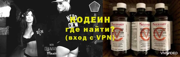 ПСИЛОЦИБИНОВЫЕ ГРИБЫ Гусиноозёрск