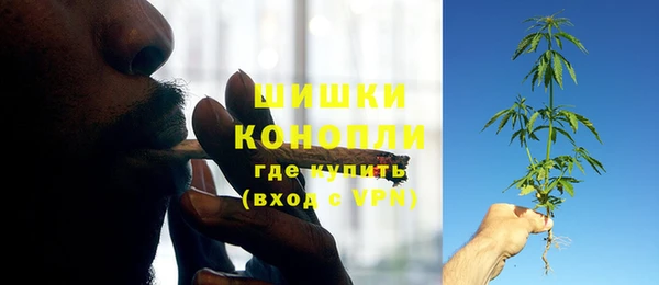 гидропоника Горнозаводск