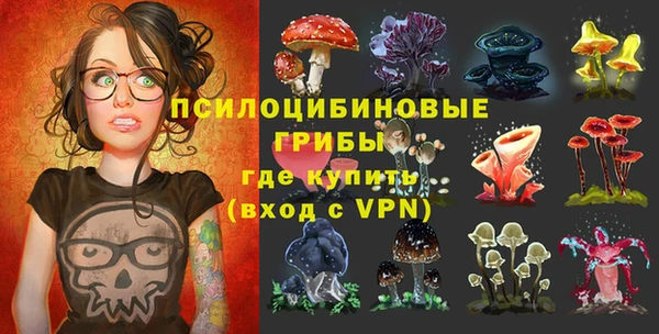 эйфоретик Вязьма