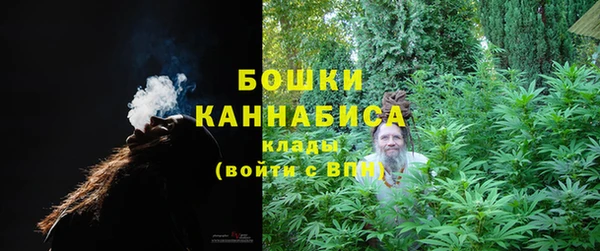 гидропоника Горнозаводск