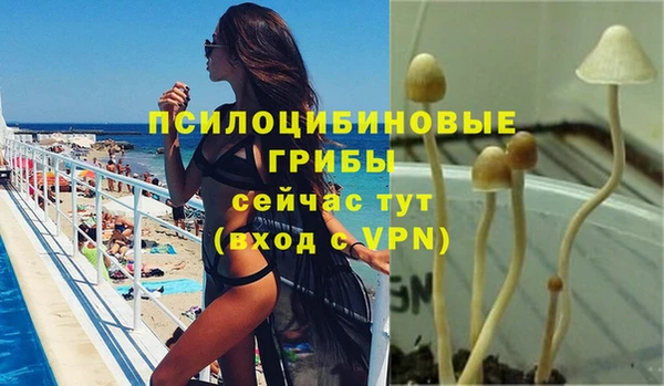 гидра Вязники